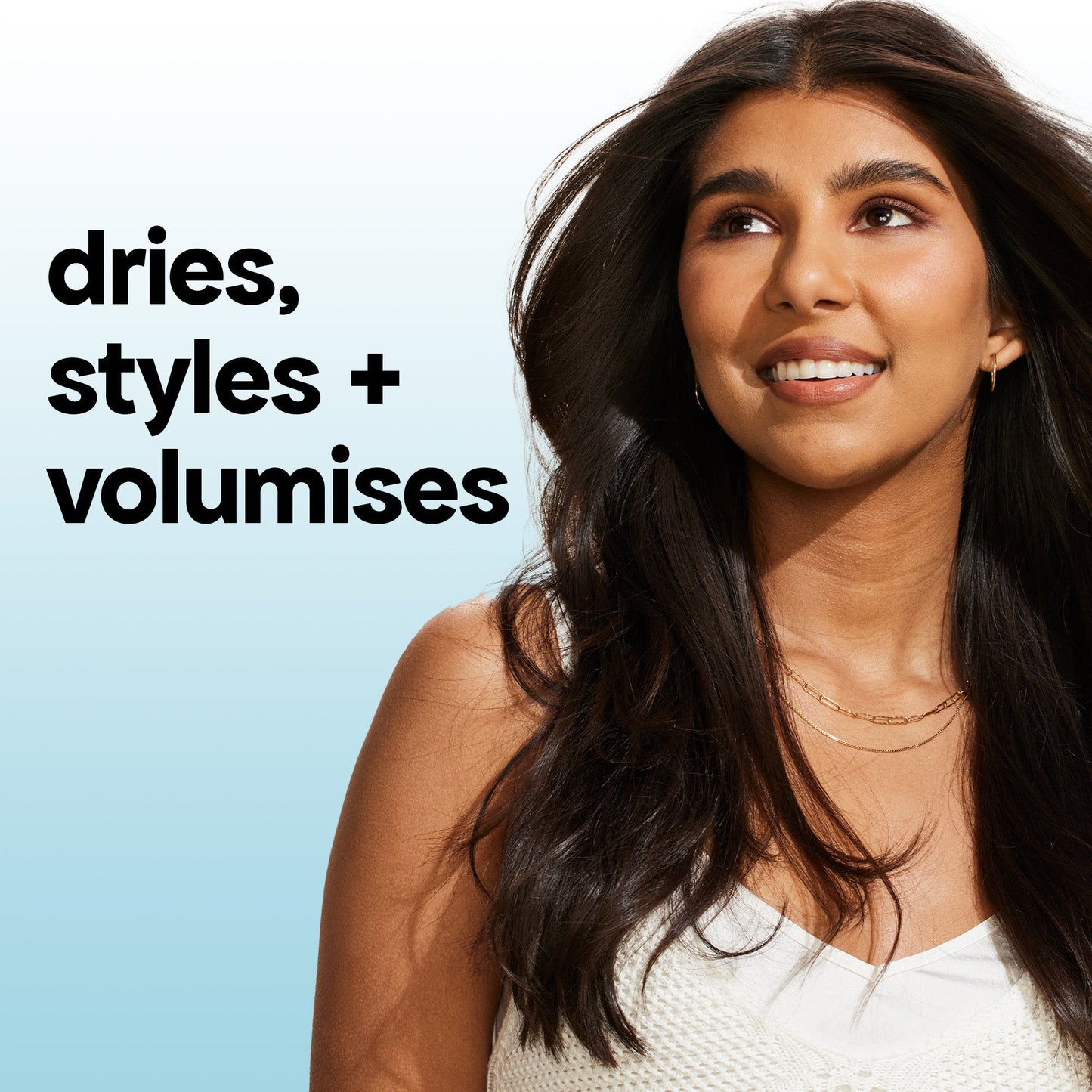 BLOWOUT BRUSH PAIR