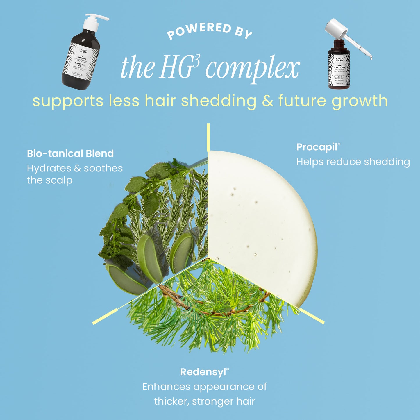 HEALTHY GROWTH AND STYLING KIT 