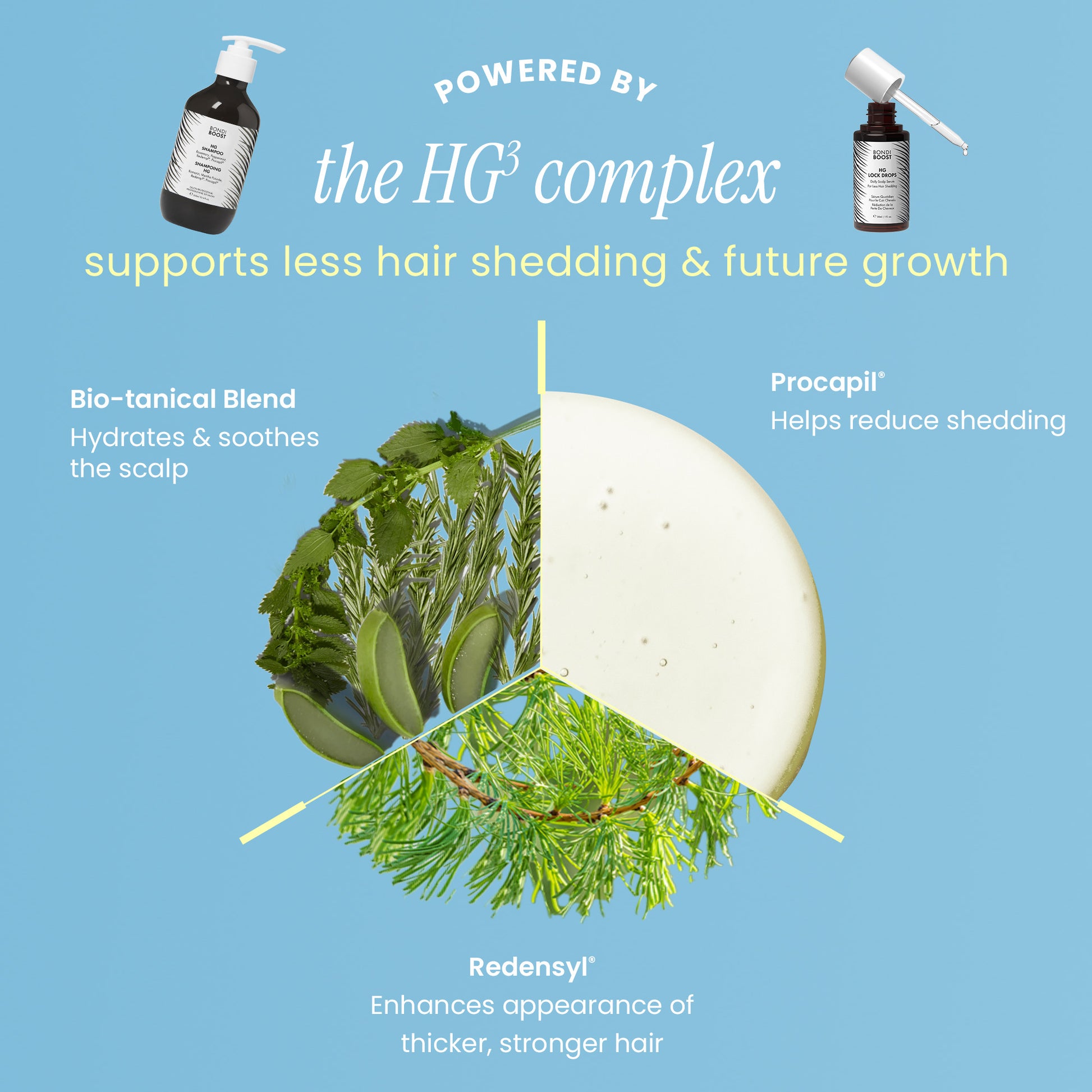 HEALTHY GROWTH AND STYLING KIT 