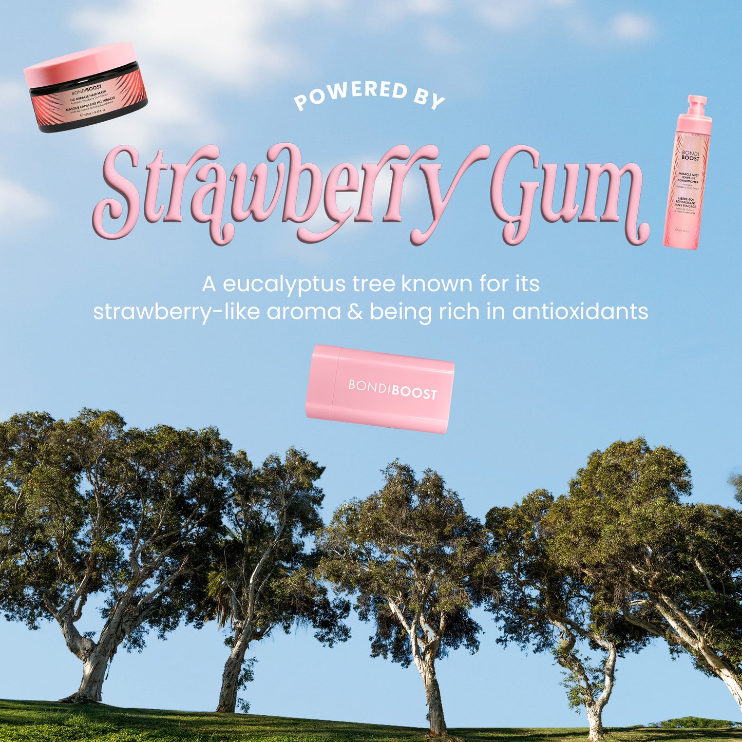 HEALTHY GROWTH AND STYLING KIT 
