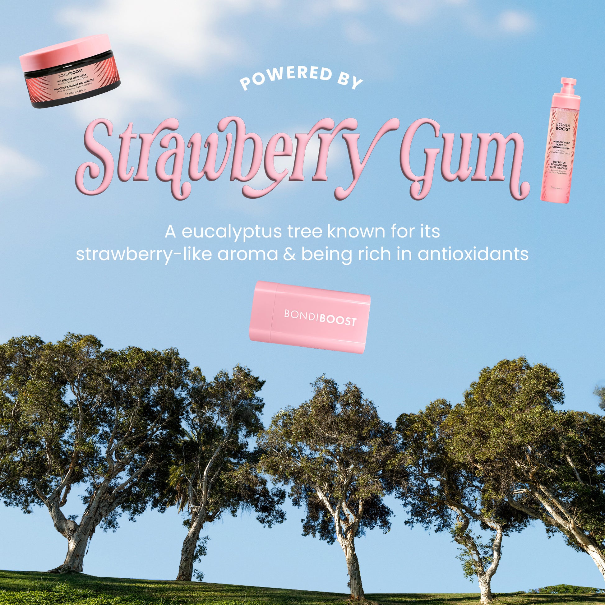 HEALTHY GROWTH AND STYLING KIT 