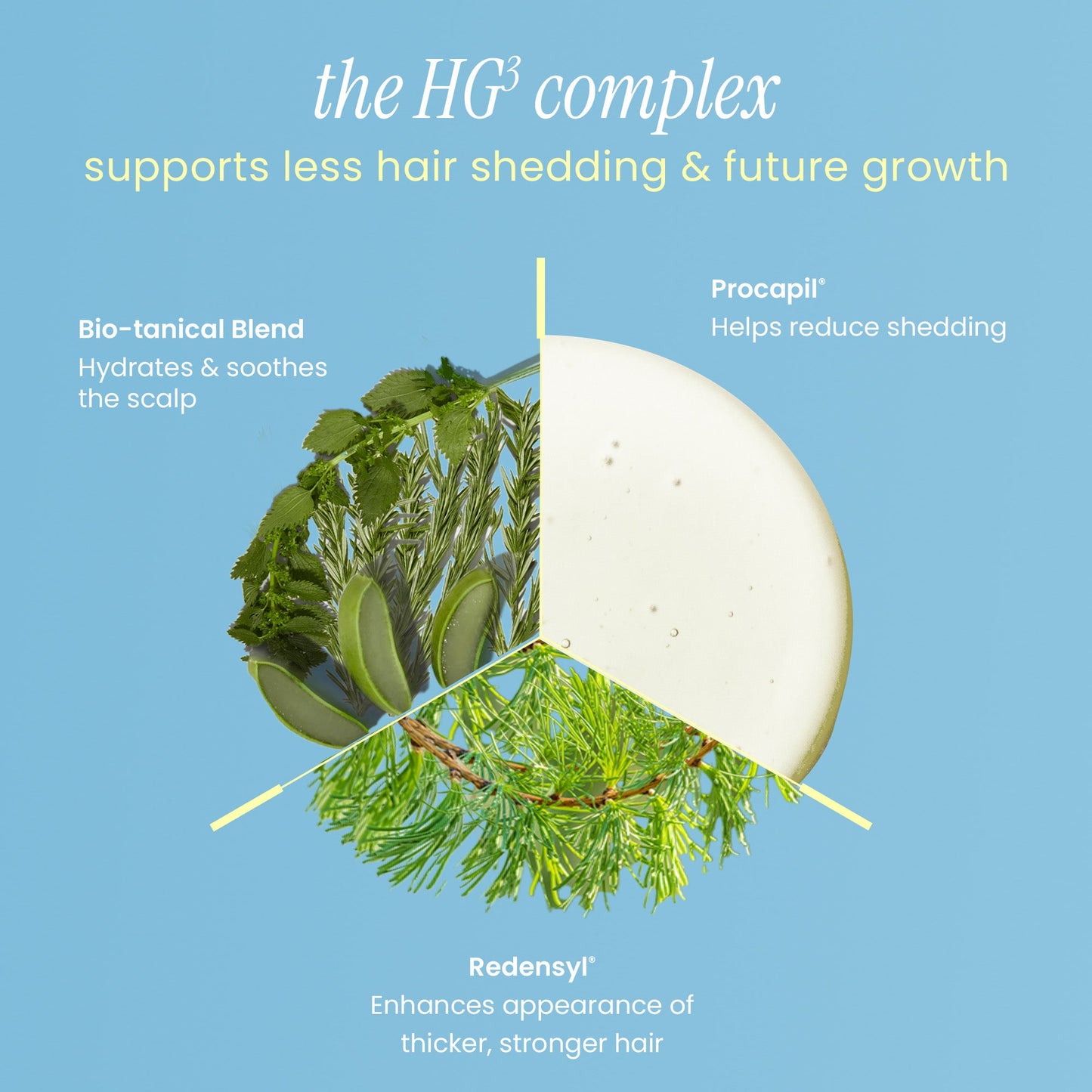 POSTPARTUM HAIR RECOVERY 